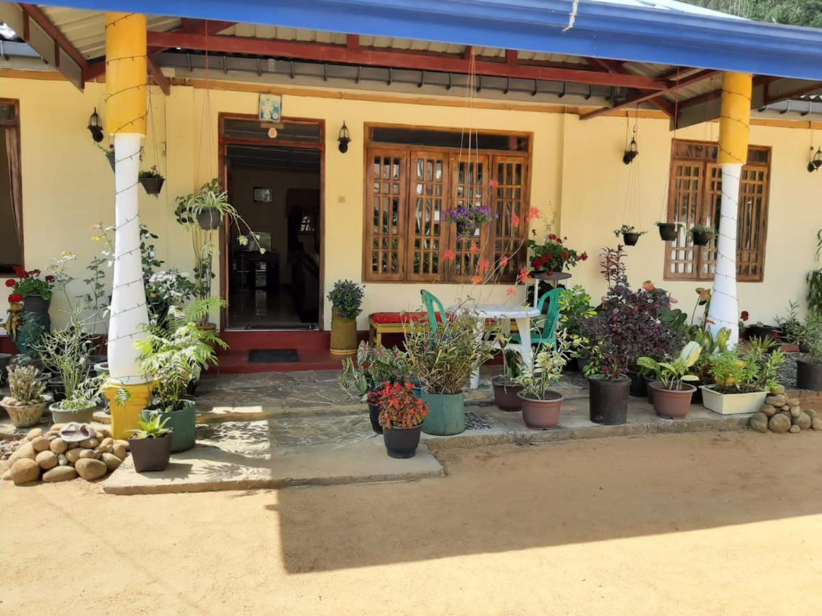 Vegetable Garden House Hotel Nallathanniya Екстериор снимка