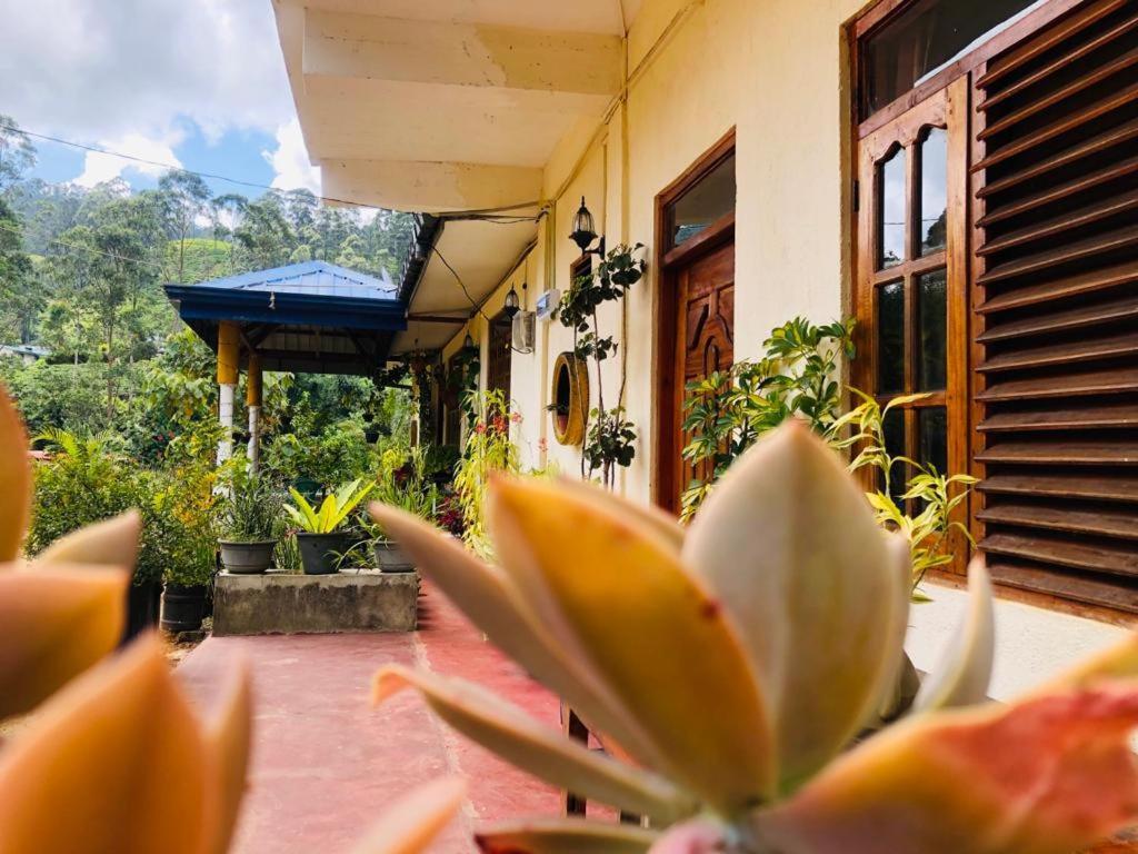Vegetable Garden House Hotel Nallathanniya Екстериор снимка