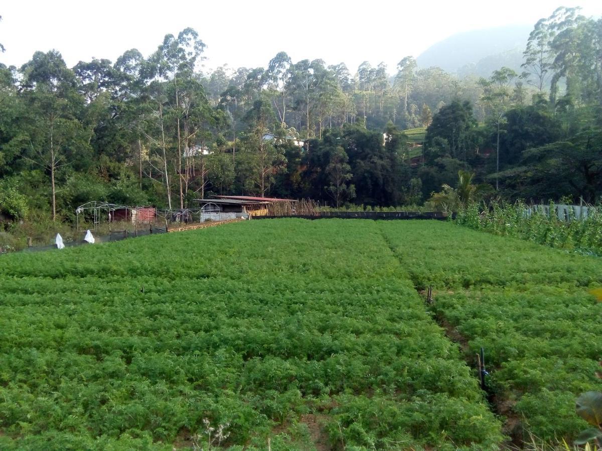 Vegetable Garden House Hotel Nallathanniya Екстериор снимка